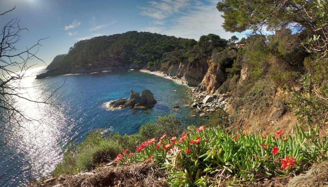 Studio Proche Port Et Plages, Piscine Ιέρ Εξωτερικό φωτογραφία